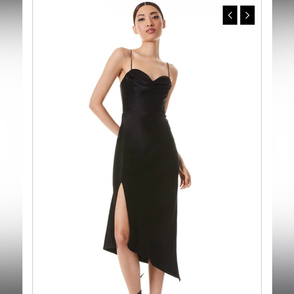 ALICE AND OLIVIA DRESS - Picture 1 of 3